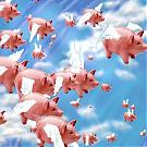 Click image for larger version

Name:	pigs_flying.jpg
Views:	350
Size:	38.8 KB
ID:	5182